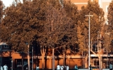送给你关于缘分的唯美句子