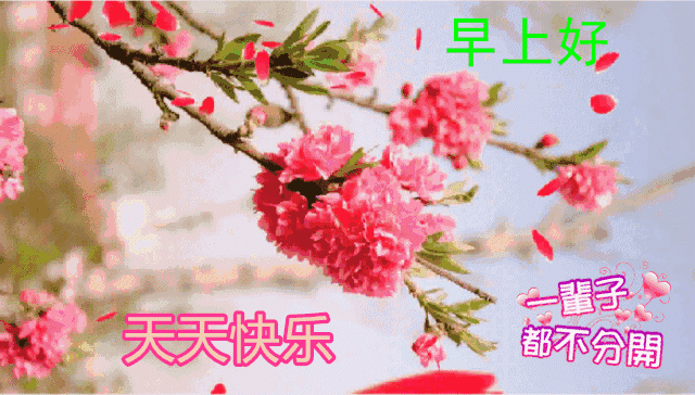 周一早安！品尝幸福的意义，接受祝福的信息，祝朋友早安