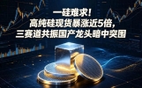 一硅难求！高纯硅现货暴涨近5倍，三赛道共振国产龙头暗中突围