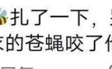太搞笑了！原来小孩真的有自己的语言体系！