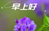 3月15日清晨问候的暖心话，特别温馨的早上好句子，祝每天都幸福