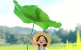 情感故事，盛夏伏天，温柔渡己