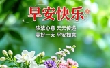 忘不了的是朋友；说不尽的是思念；道不完的是祝福