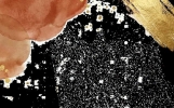 【星海群星闪耀时 第1期】 2026届高三毕业生，于强基赛道，点亮万千可能