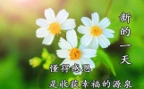 早上好朋友,阳光早安问候语图片 新版早上好问候语 特漂亮的早安祝福唯美图片带字温馨 最新早上好祝福问候短信