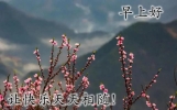 早上好问候语温馨短句 简约夏日早上好图片带字带祝福语 好看的夏日朋友圈早安问候祝福风景图片带字温馨