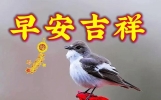 早安朋友,关心，不用甜言蜜语，真诚就好；友谊，不需朝朝暮暮，记得就好！