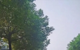 笑到肚子疼的爆笑段子合集