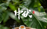 明天迎来中伏！闷热桑拿天开启，几道时令小炒，清淡饮食养状态