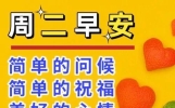 早安的暖心句子大全，情意浓浓，祝福满满，清晨忙把问候送