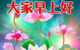 非常漂亮的早上好问候祝福表情图片精选，福气满满