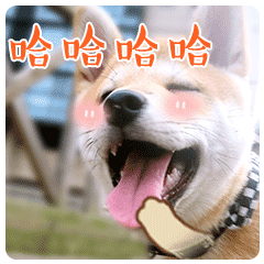 发个笑话逗大家开心一下，够你笑到年底了