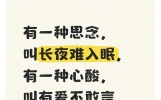 有一种思念，叫长夜难入眠，有一种心酸，叫有爱不敢言