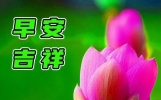 7月31日今日最新早安简短金句，愿我们快乐悠悠，友谊天长地久