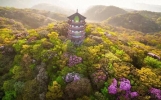 金佛山到底值不值得去？网友掏心窝子的真实攻略，