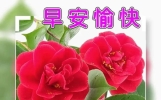 亲爱的朋友，早安！清晨送去我点点的问候。愿你幸福无边。