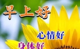 每日一句祝福短语