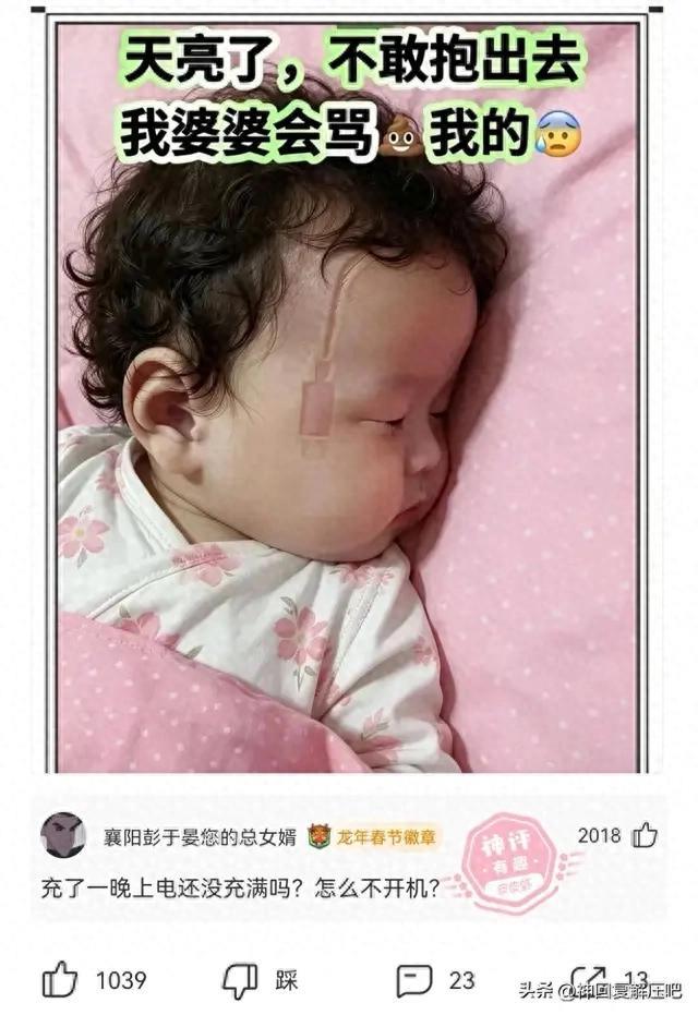 网上爆火十组搞笑实拍段子，每张图配神评笑点拉满
