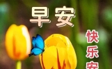 8月5日早安元气满满祝福短语，问候送到远方，祝福陪伴心间