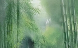 15首清绝且唯美诗词，尘心安放，不惹人间桃李春