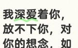 我深爱着你，放不下你，对你的想念，如写不完的诗