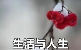 说说我是一个什么样的人