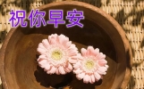 早安祝福问候语说说句子 朋友圈最美早上好祝福语简短说说图片