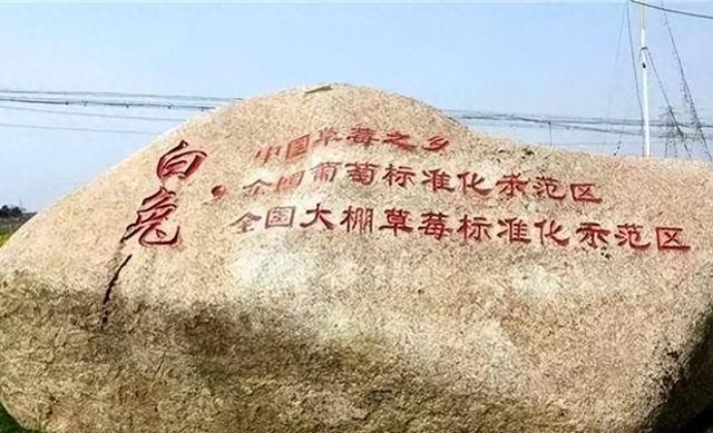 白兔村奇闻：一只兔子牵出离散母子，揭开村庄百年传说背后的悲欢离合