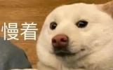20条治愈搞笑段子，专治不开心！