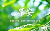 朋友交的好，如同捡个宝，说说知心话，天天问个好，共度人生路，健康活到老，愿您健康快乐，事事如意