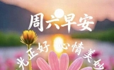 今天6月6日，朋友圈被这40条文案刷屏了