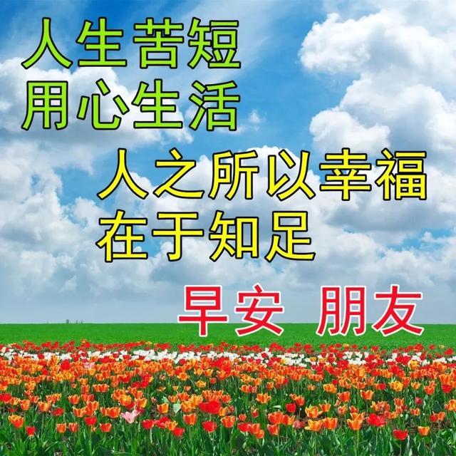 早上好朋友！送上我的祝福，寄去我的牵挂！祝你安康如意。