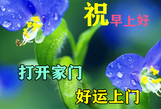 最新版早安祝福语短信句子集锦，早上好漂亮动态图片大全