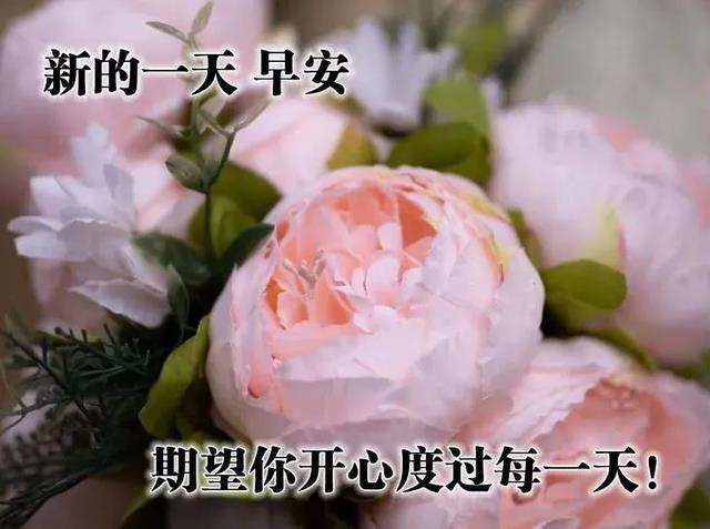 新版浪漫的早上好祝福语图片，微信早安问候祝福语短信集锦