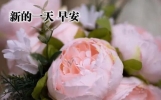 新版浪漫的早上好祝福语图片，微信早安问候祝福语短信集锦