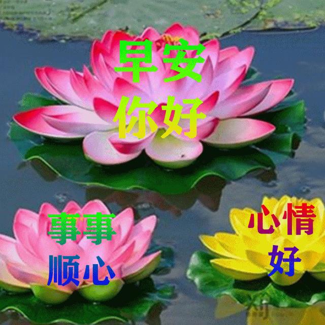 美好的问候传给每一个人，一份温暖，一份安心，一份亲近，一份友谊。