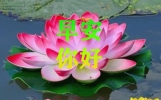 美好的问候传给每一个人，一份温暖，一份安心，一份亲近，一份友谊。