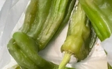 蔬菜放冰箱越烂？
