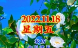 11月18日早上好祝福语简短温馨一句话 知心朋友早安问候语