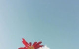 忍不住收藏的心灵鸡汤说说，句句经典，深度好文！