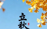 明日立秋！中老年早餐吃这4样，温润补虚不秋乏