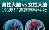 面对男女客户，发朋友圈的逻辑完全不一样！