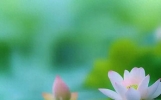 精选20句激励自己的励志正能量句子，句句积极向上，让你越来越好