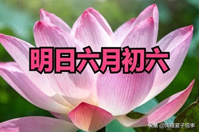 六月卞记住，一晒二回三吃，老祖宗智慧太实用