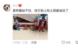 笑麻！如果没有经济压力的话，养小孩真的是一件很有趣的事 ​​​