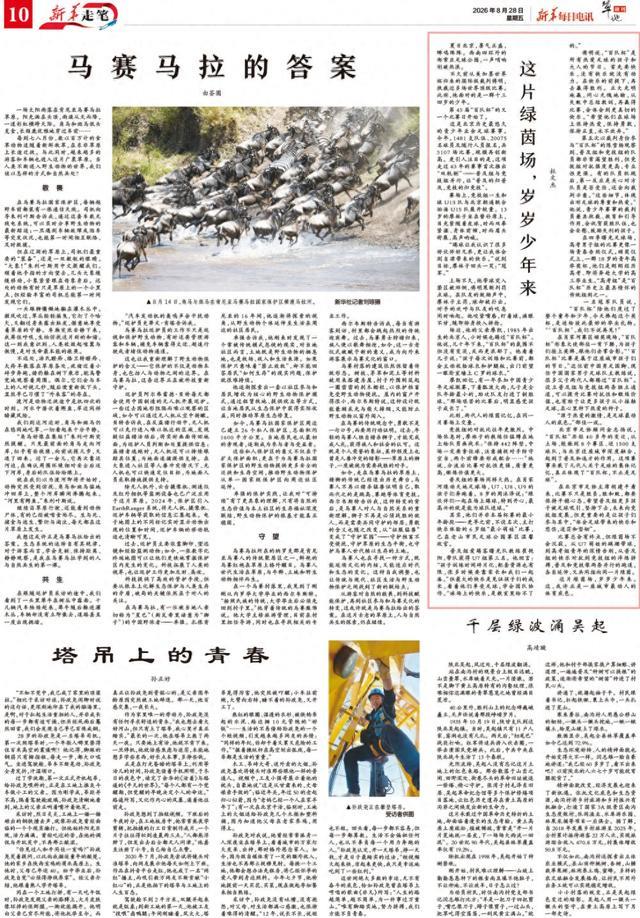新华走笔