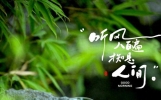 早安唯美祝福图文，温柔而治愈的句子，总有一句能写进你心里。
