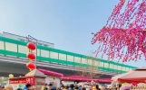 退休金就一千多，来青岛租房养老，真的能过得安稳吗？