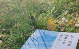 33. 没有你在的日子我有多难熬，陪伴从不是说说而已