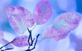 20句超经典的励志正能量句子句句积极向上激励人心，让人斗志昂扬
